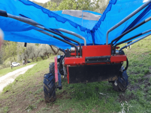 olivespeed-4x4 (1)