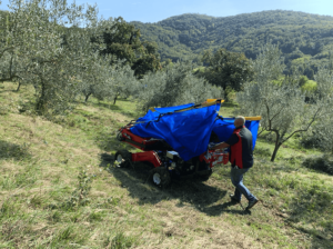 olivespeed-4x4 (10)