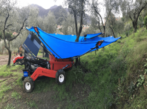 olivespeed-4x4 (5)