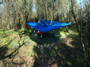 olivespeed-4x4 (6)