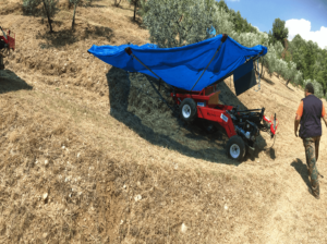 olivespeed-4x4 (7)