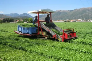 raccoglitrice-basilico-fr32-depietri-02