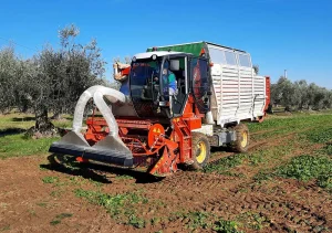 raccoglitrice-industriale-spinaci-FR148-depietri02